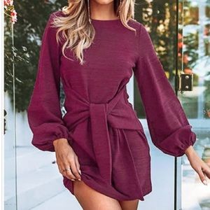 Wine Red Puff Long Sleeve Mini Dress